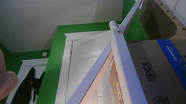 SadCatDaddy webcam