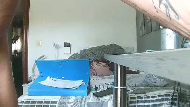 xdahanx webcam