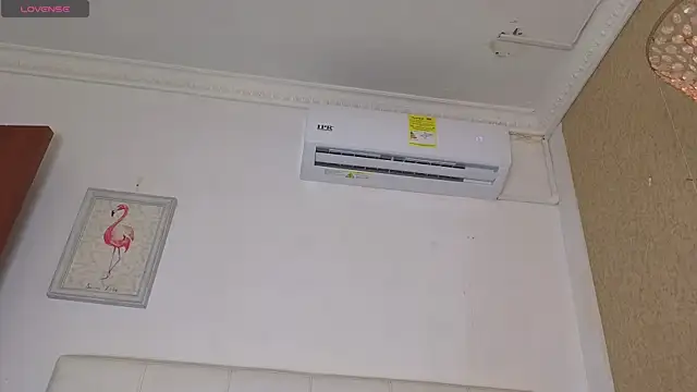 siacavali webcam