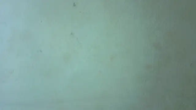 Laady_rosse webcam