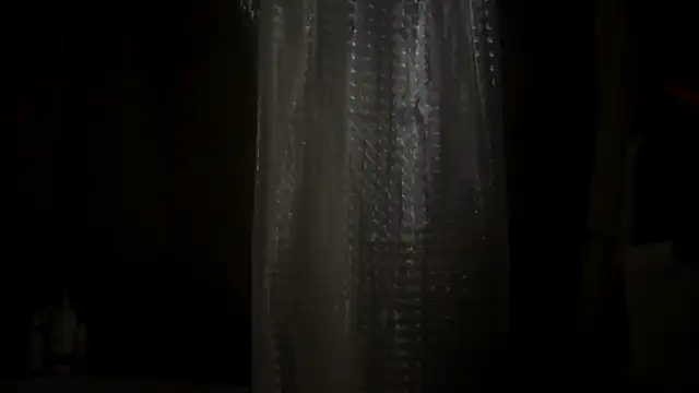Shinin_Robi webcam