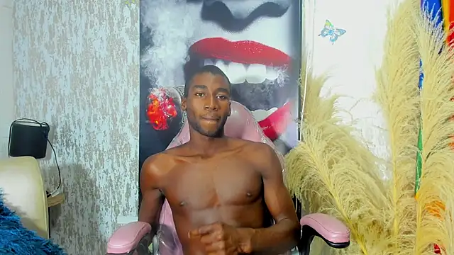 elio_x webcam