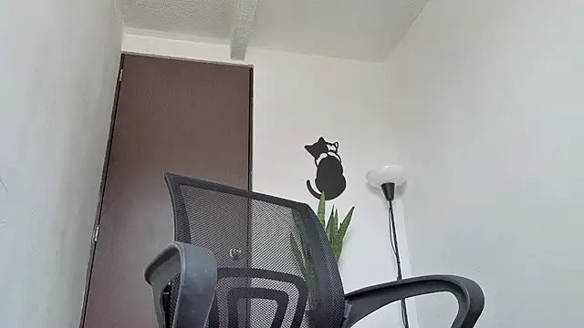 Arteemiiis webcam