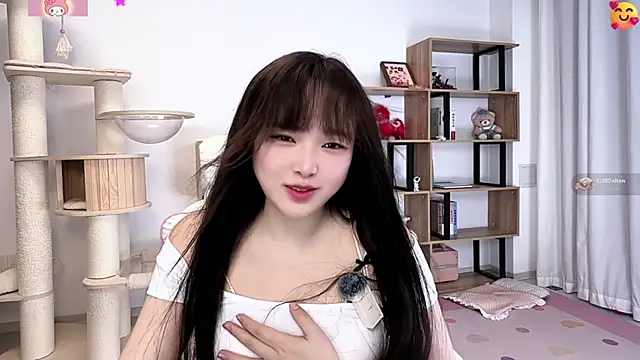SakuraCat6 webcam