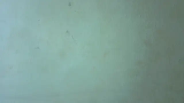Laady_rosse webcam