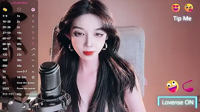vyizh- webcam
