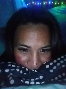 simplytrans webcam