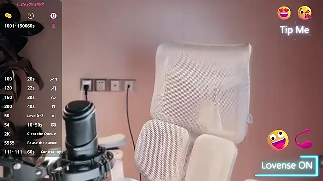 vyizh- webcam