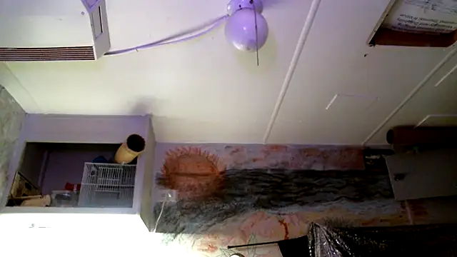 SexyB214 webcam