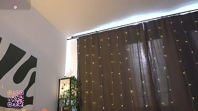 FlairEdgin webcam