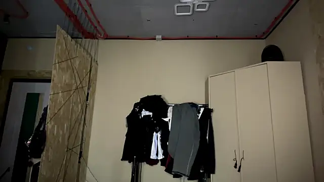 Reeegina webcam
