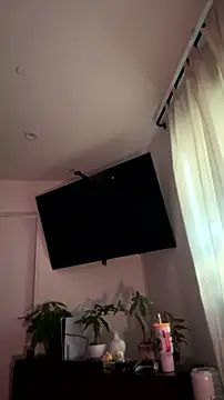 alldogsgotoheaven webcam
