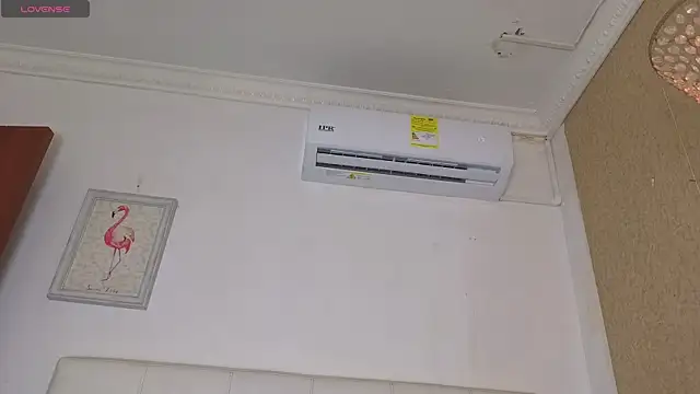 siacavali webcam