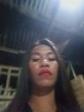 simplytrans webcam