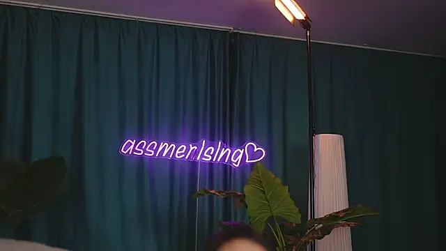 Assmerising webcam