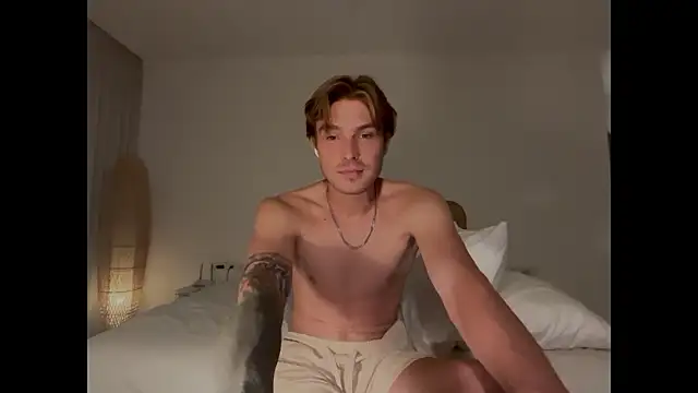 DanteRay webcam