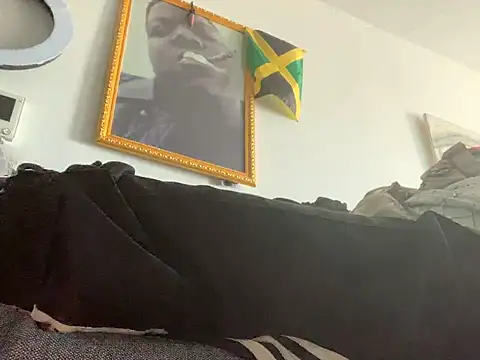 bigyenwood webcam