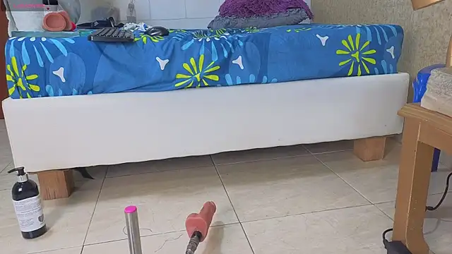 siacavali webcam
