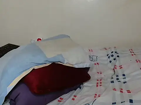 luzrem webcam