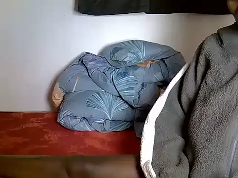 zelyp webcam