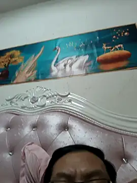 GG-0021 webcam