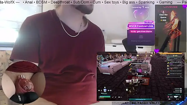 Panda-WolfX webcam