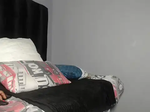 Ogmelo webcam