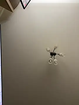 Poly_Nick webcam