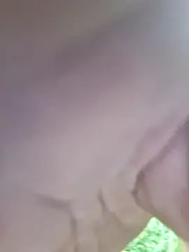 swervenherb webcam