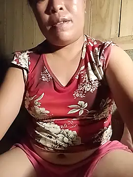 Ip34 webcam