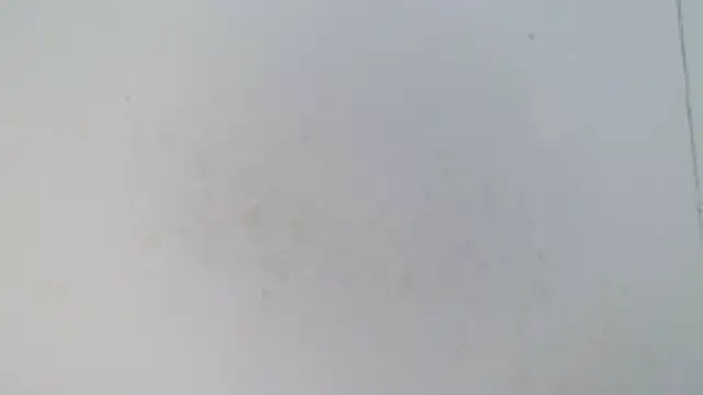Ashley-ft webcam