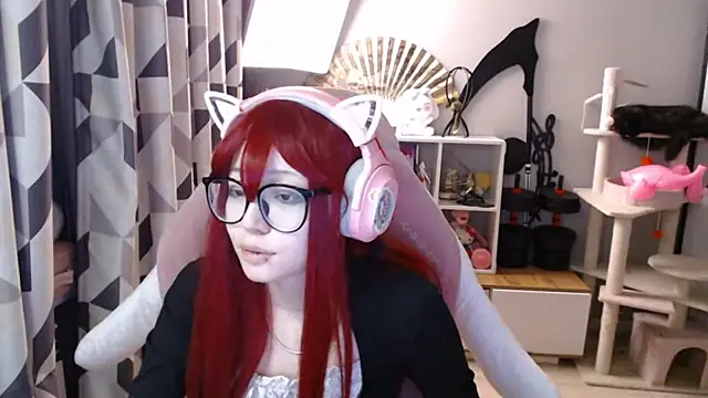 SaxonDibs webcam