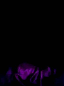 Fjnzjk webcam
