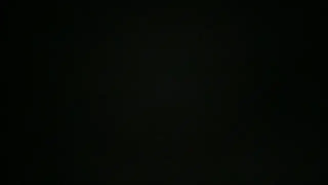 RisaBongartz webcam