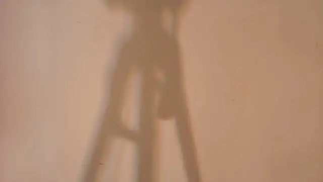 Model: DannaDooll99