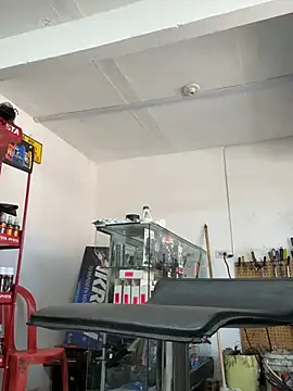 Paul22cm- webcam