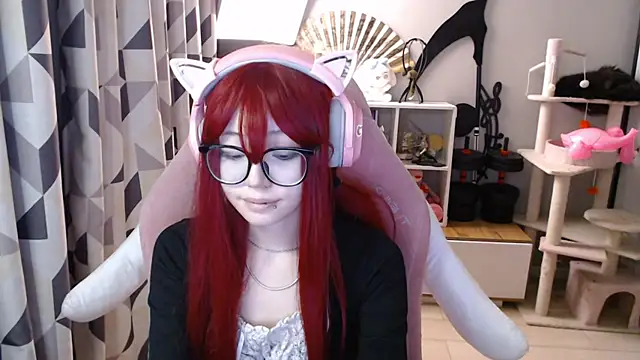 SaxonDibs webcam