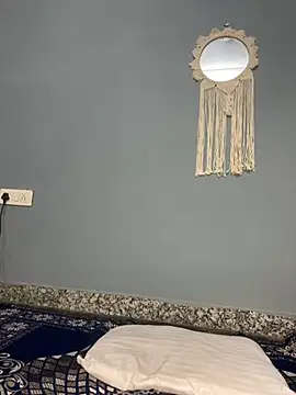 Pari8822 webcam
