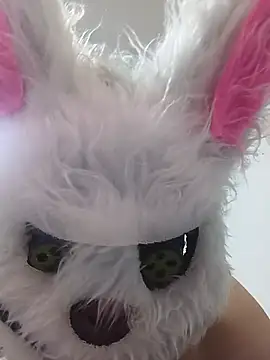 Happy_rabbith webcam
