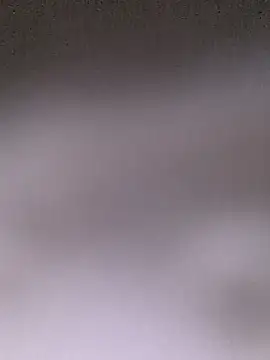 Cnutt310 webcam