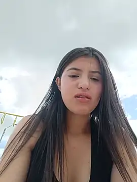SALOME-28_ webcam