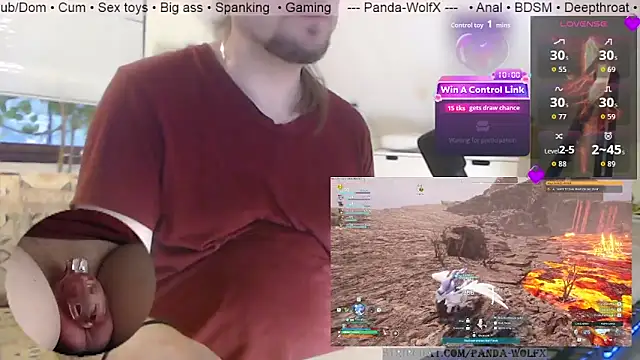 Panda-WolfX webcam