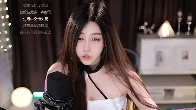 SleepArtist webcam