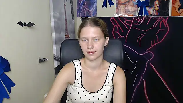 StellaCRL webcam