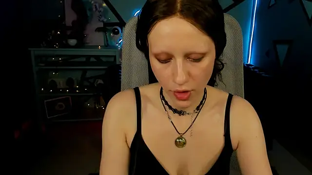 LidaDarknet webcam