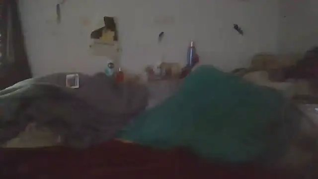 paradisejas webcam