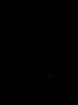 rakkakakakakakakakaak webcam
