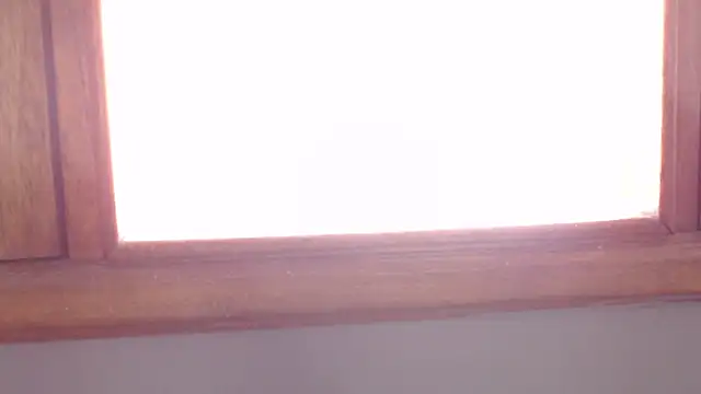 camila_purple webcam