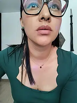 Fleurmeyer79 webcam