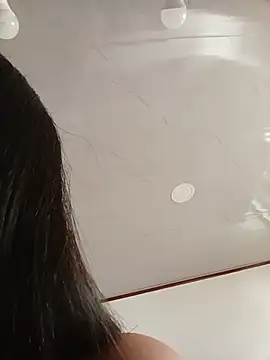 SALOME-28_ webcam